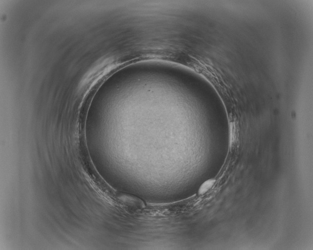 X0000064750243200602101220