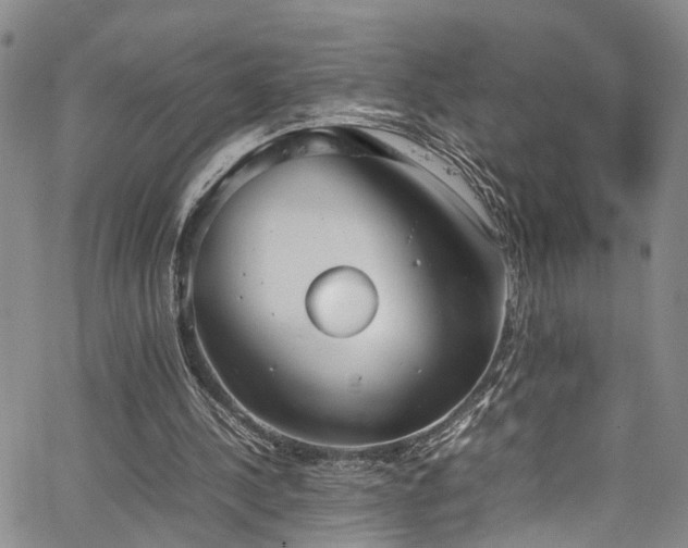 X0000064750244200602101220