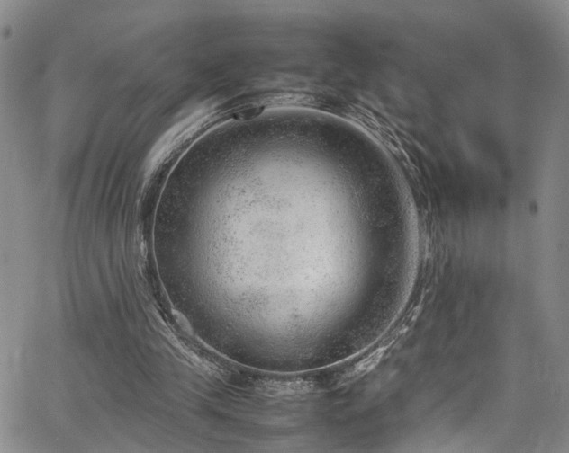 X0000064750245200602101220