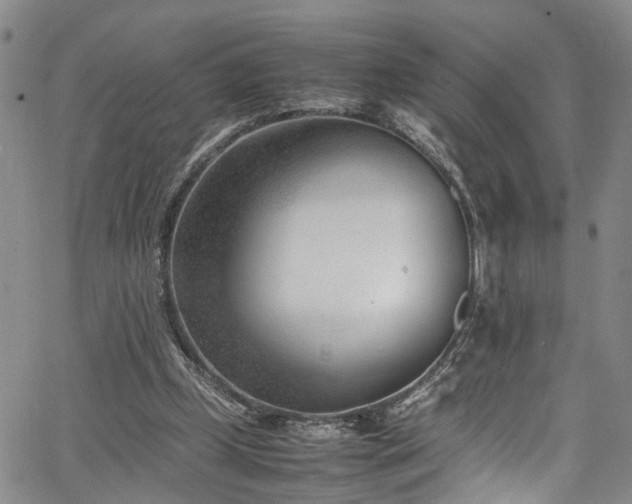 X0000064750249200602101220