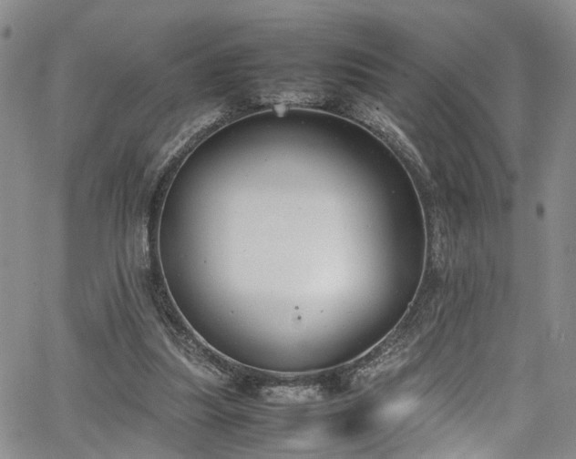 X0000064750251200602101220