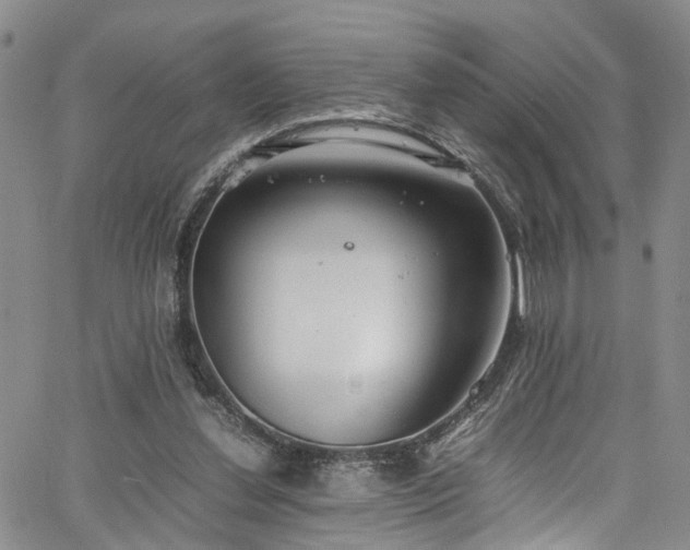 X0000064750252200602101220