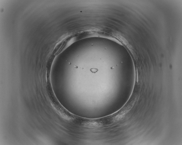 X0000064750253200602101220