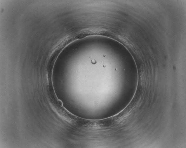 X0000064750254200602101220