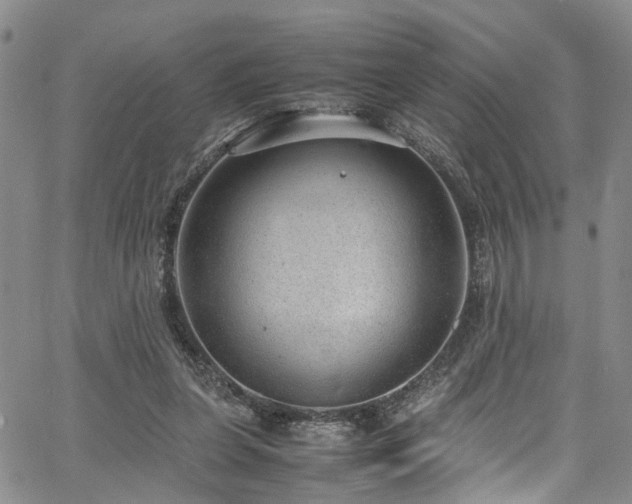 X0000064750255200602101220