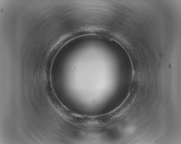 X0000064750256200602101220