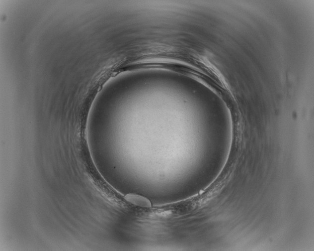 X0000064750257200602101220