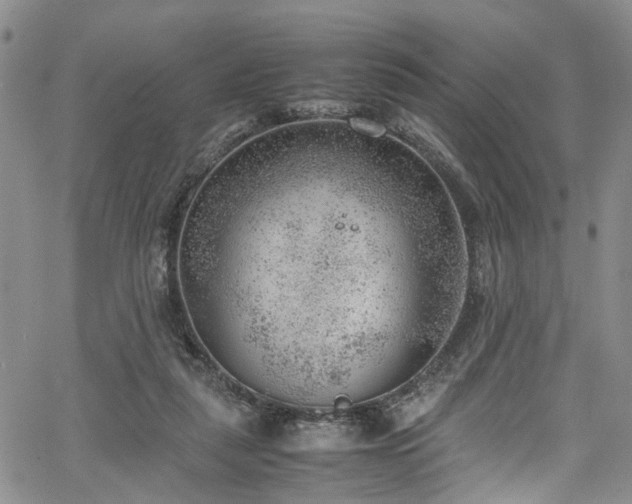 X0000064750259200602101220