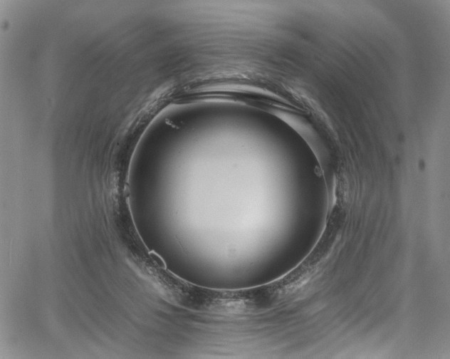 X0000064750260200602101220