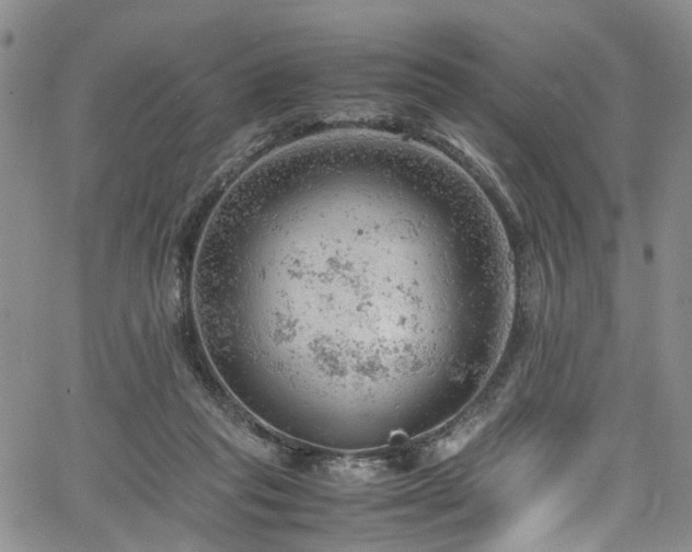 X0000064750261200602101220