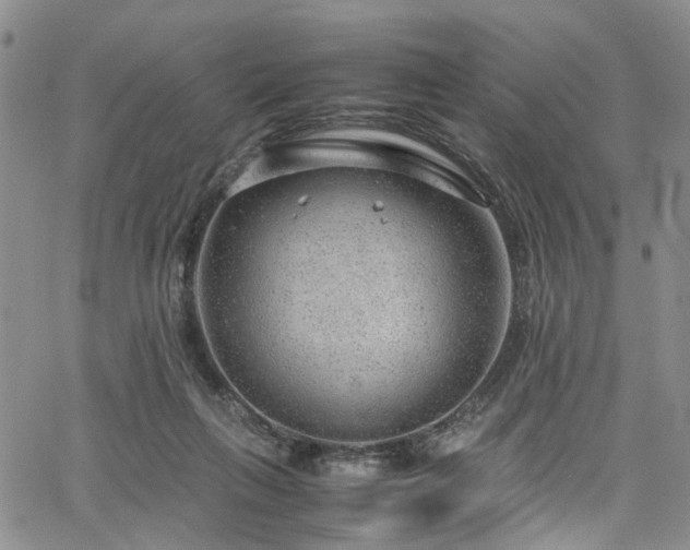 X0000064750263200602101220