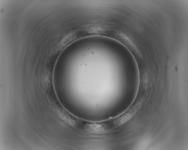 X0000064750265200602101220