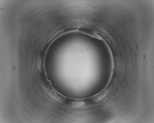 X0000064750266200602101220