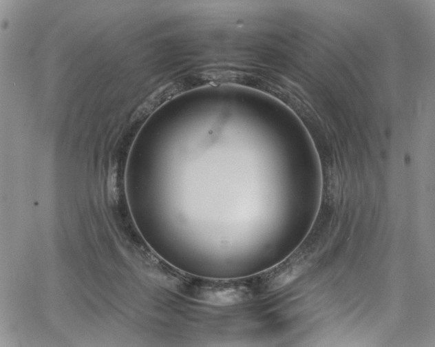 X0000064750267200602101220