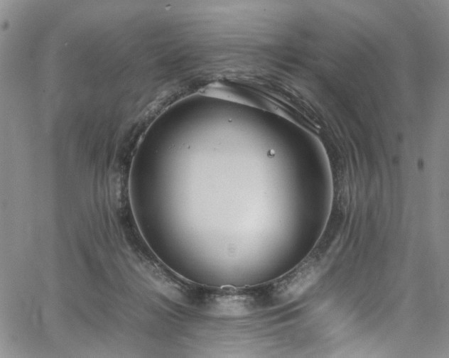 X0000064750268200602101220