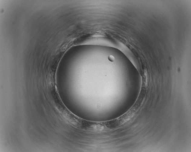 X0000064750272200602101220