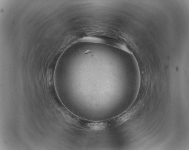 X0000064750273200602101220