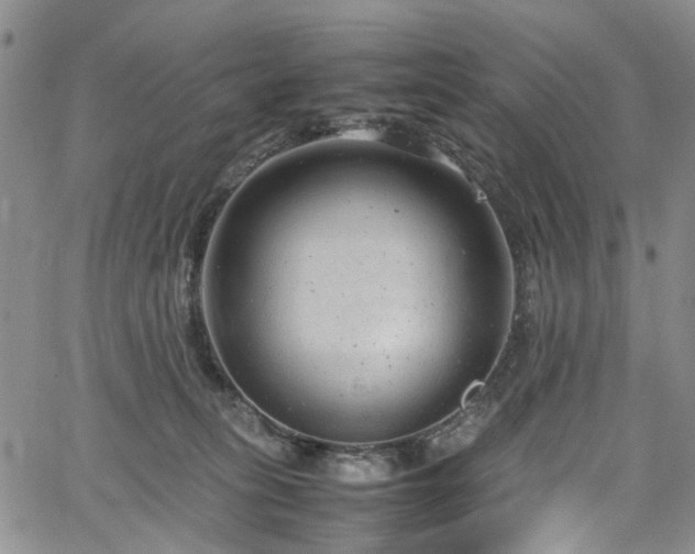 X0000064750275200602101220