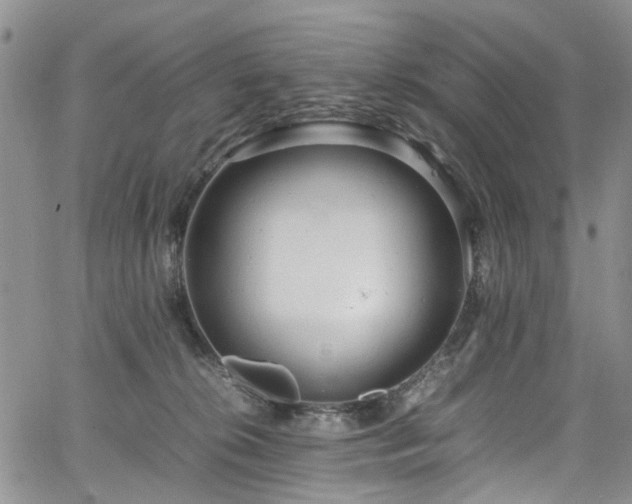 X0000064750276200602101220