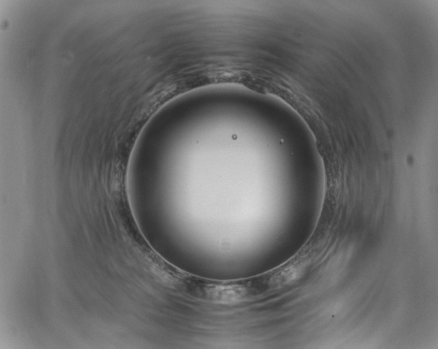 X0000064750277200602101220