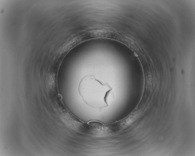 X0000064750278200602101220