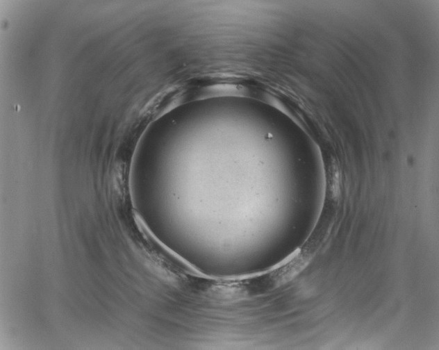 X0000064750280200602101220