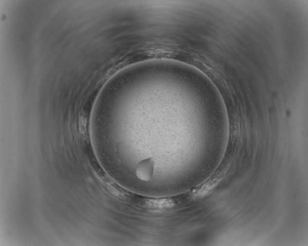 X0000064750281200602101220