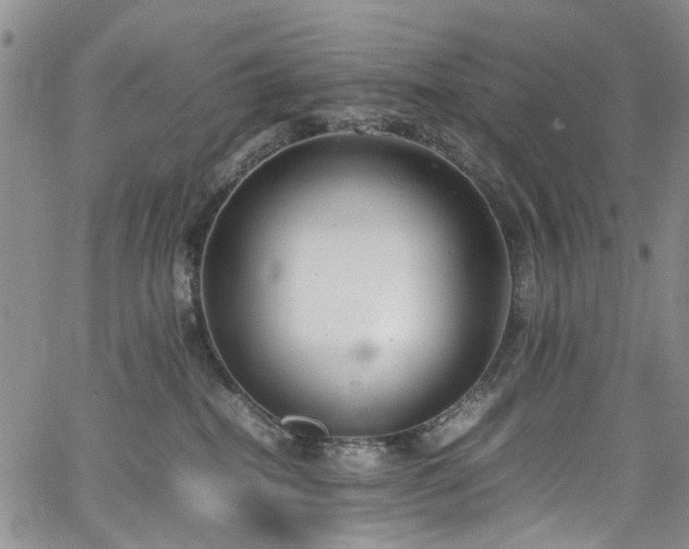 X0000064750282200602101220