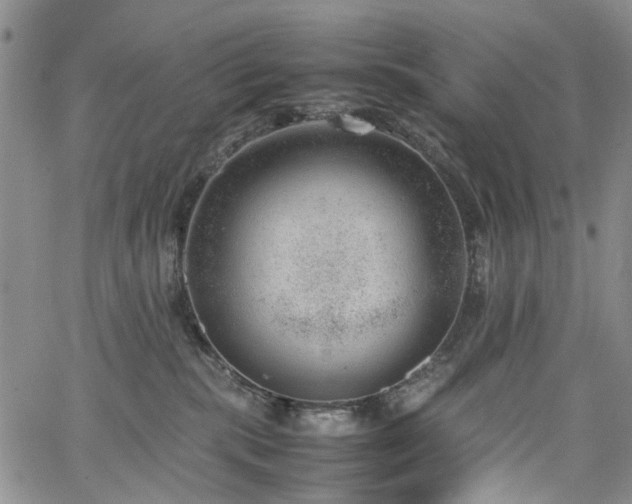 X0000064750283200602101220