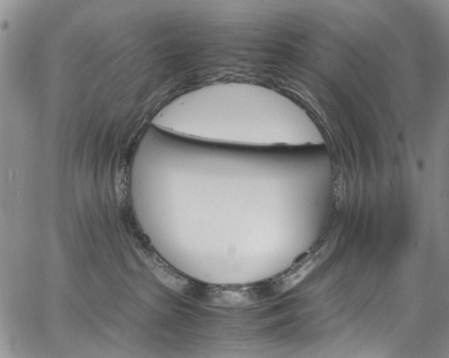 X0000064750285200602101220