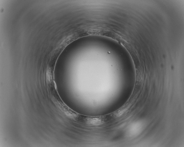 X0000064750287200602101220