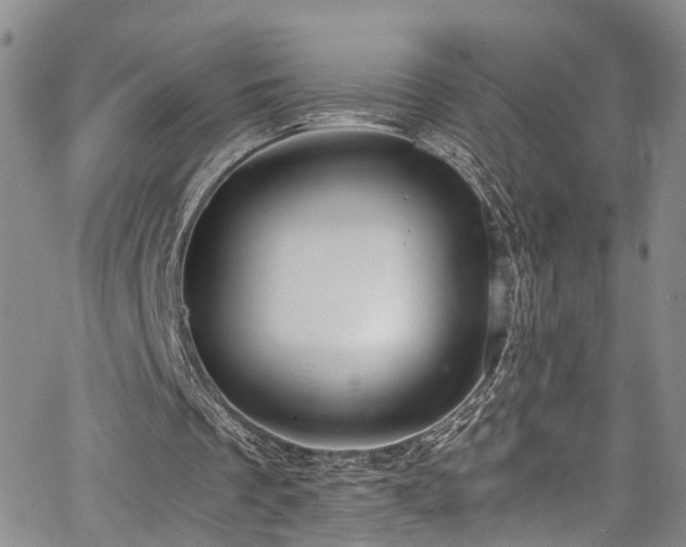 X0000064750289200602101220