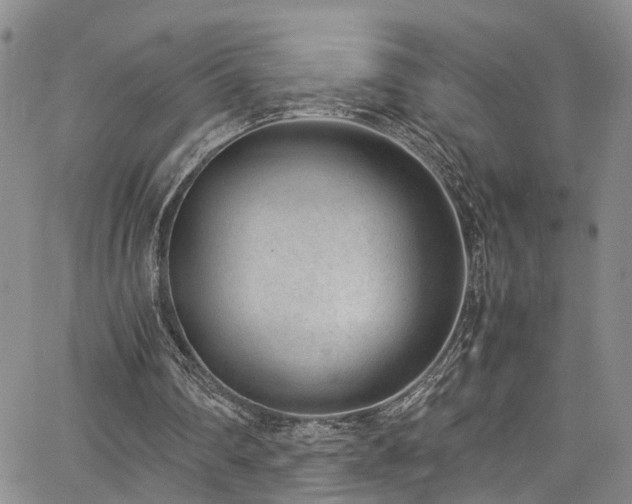 X0000064750290200602101220