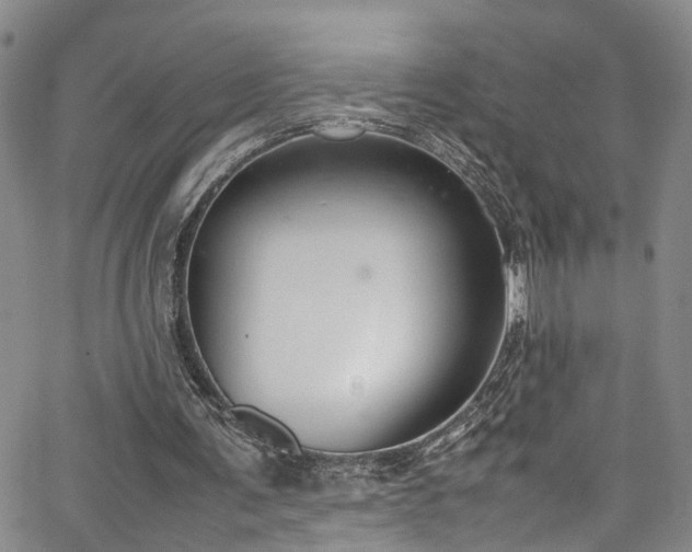 X0000064750291200602101220