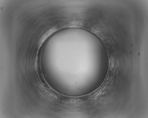 X0000064750292200602101220