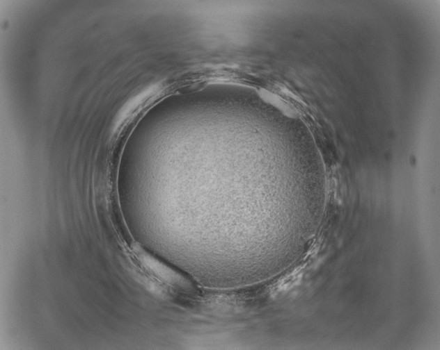 X0000064750293200602101220