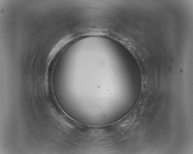 X0000064750296200602101220