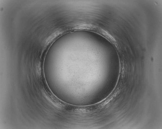 X0000064750298200602101220