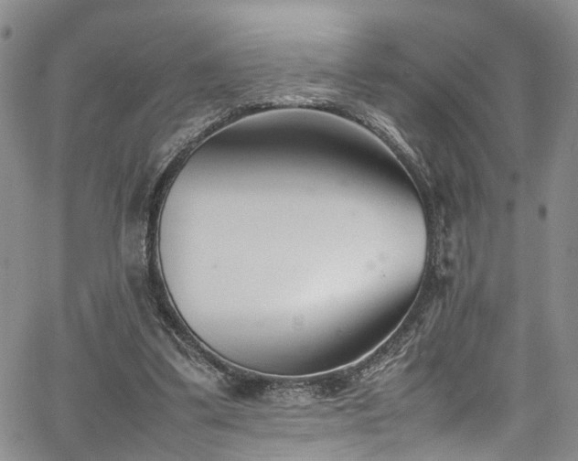 X0000064750299200602101220