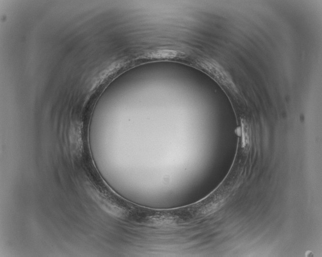 X0000064750300200602101220