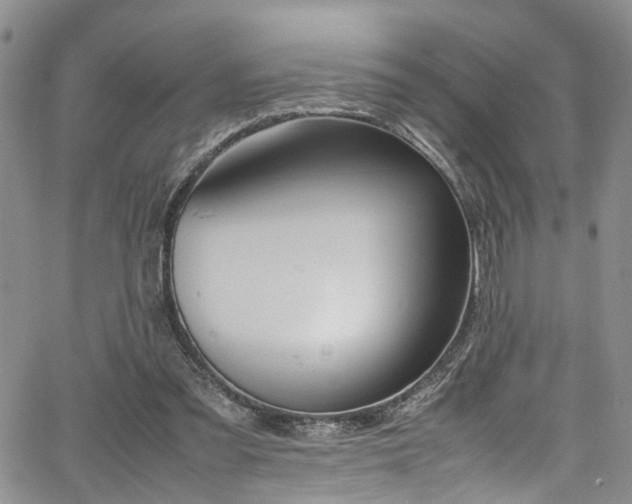 X0000064750301200602101219