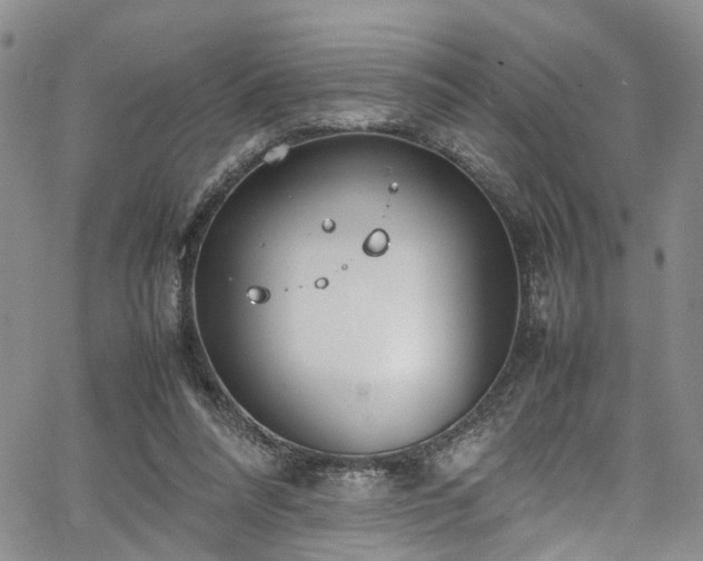 X0000064750304200602101219