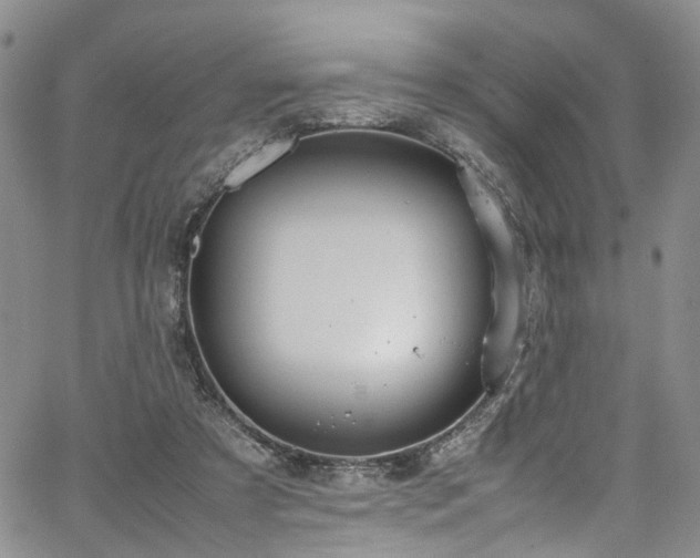 X0000064750305200602101219