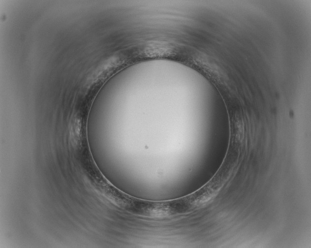 X0000064750308200602101219