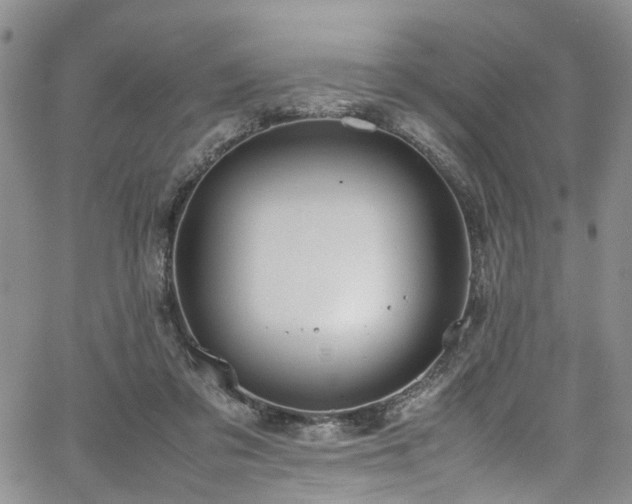 X0000064750309200602101219