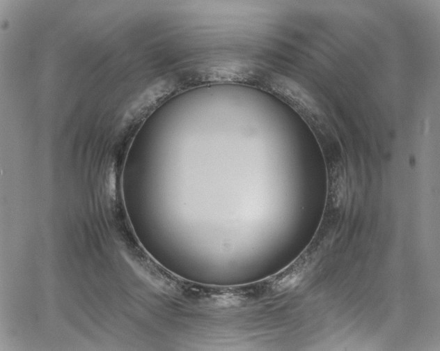 X0000064750310200602101219