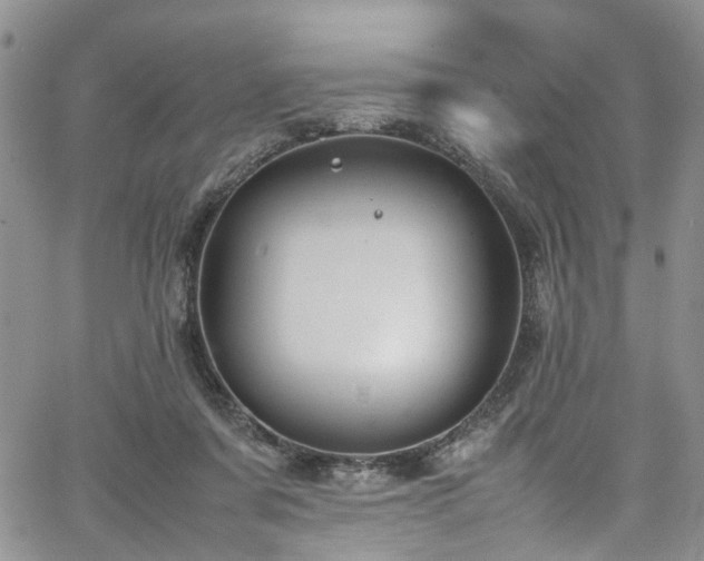 X0000064750311200602101219