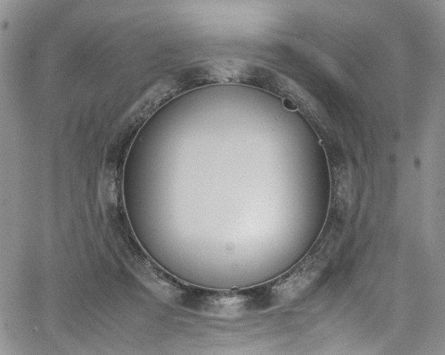 X0000064750313200602101219