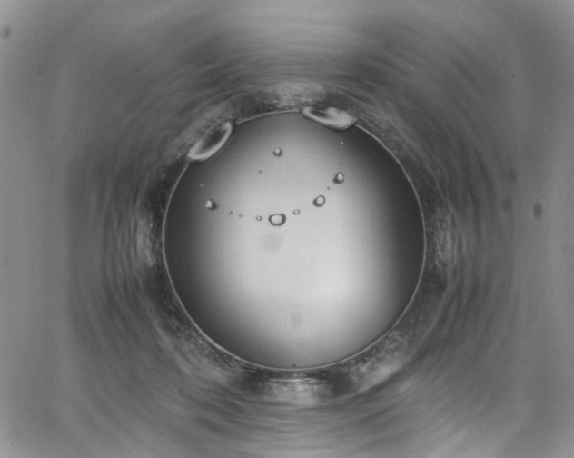 X0000064750316200602101219