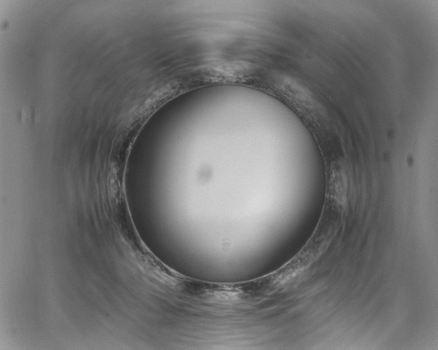 X0000064750318200602101219